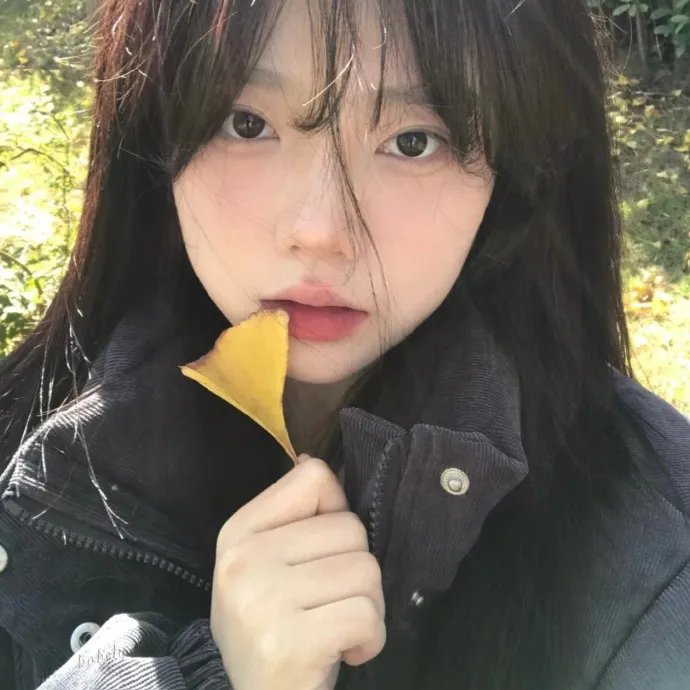 旅途中的日子